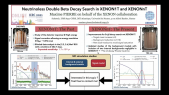 thumbnail of medium Neutrinoless double beta decay search in XENON1T and XENONnT