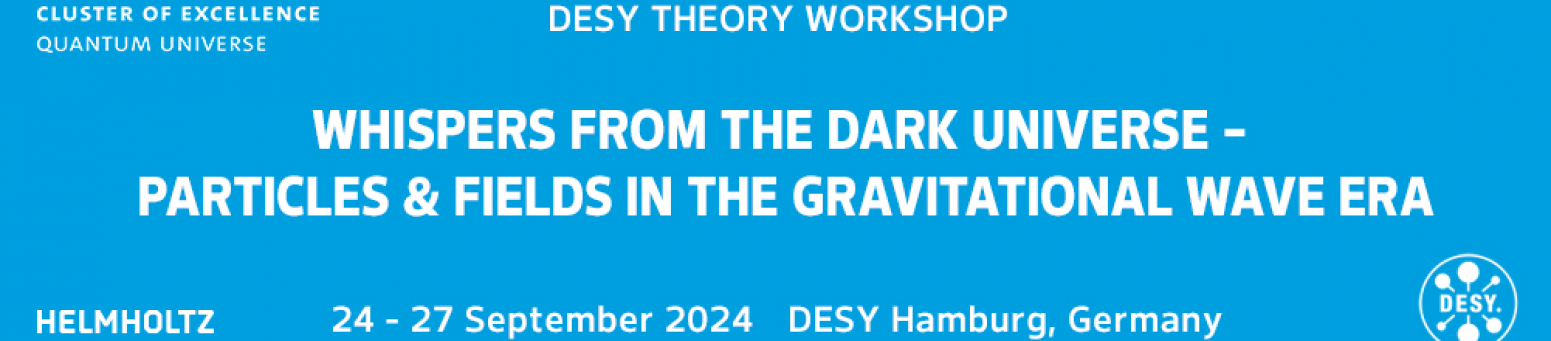 thumbnail of channel Theory Workshop 2024