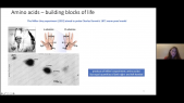 thumbnail of medium Highlight: Polarized muons and the origin of biological homochirality